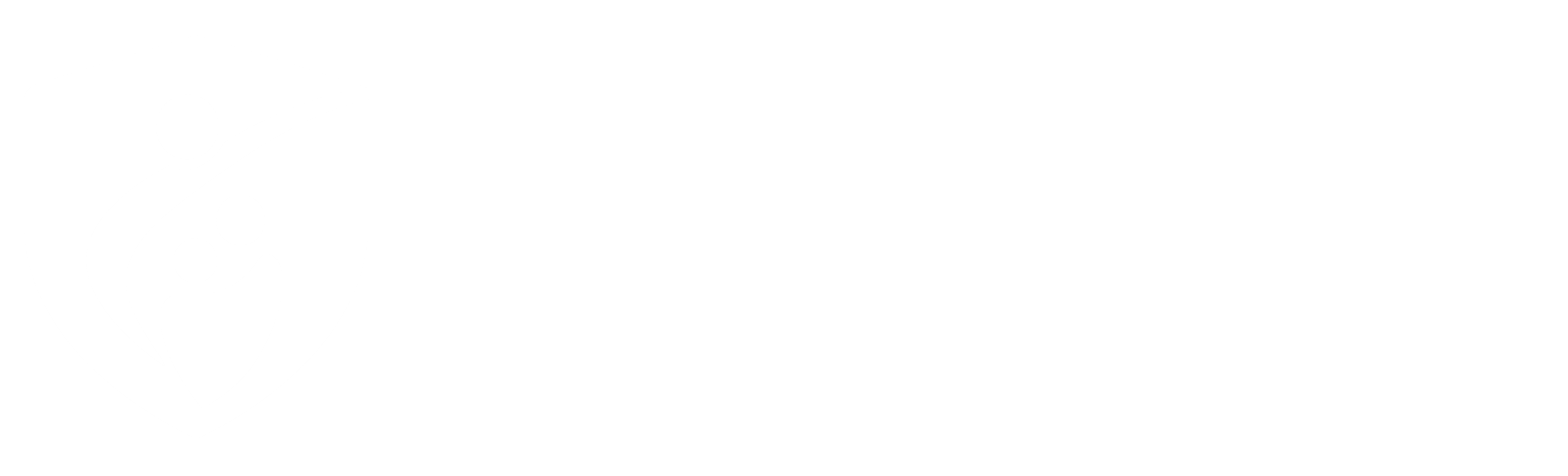 Fionca Logo